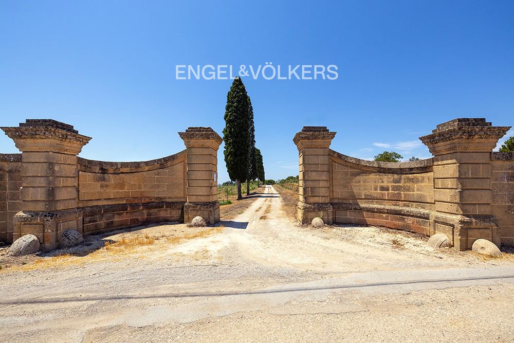 Villa in Alezio, Apulia, Italy 1 - 16013816
