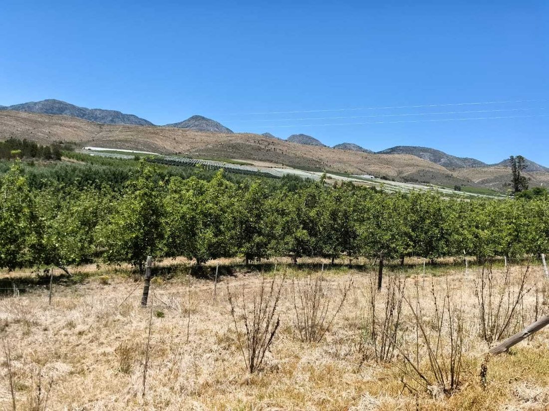 Farm Ranch in George, Western Cape, South Africa 1 - 16885816