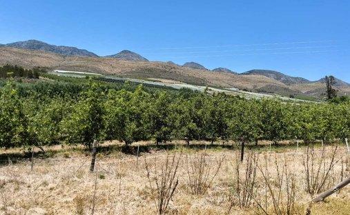 Farm Ranch in Uniondale, Western Cape, South Africa 1