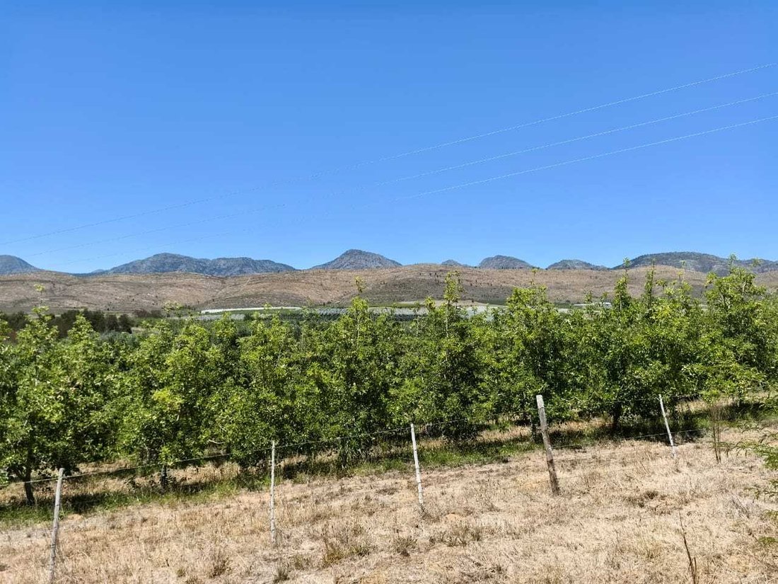 Farm Ranch in George, Western Cape, South Africa 4 - 16885816