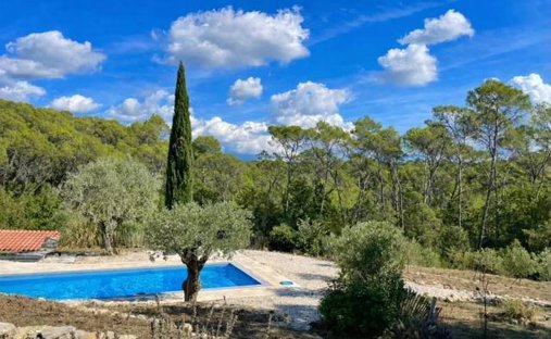 Chateau In Provence With Guest House And 13 Ha Land