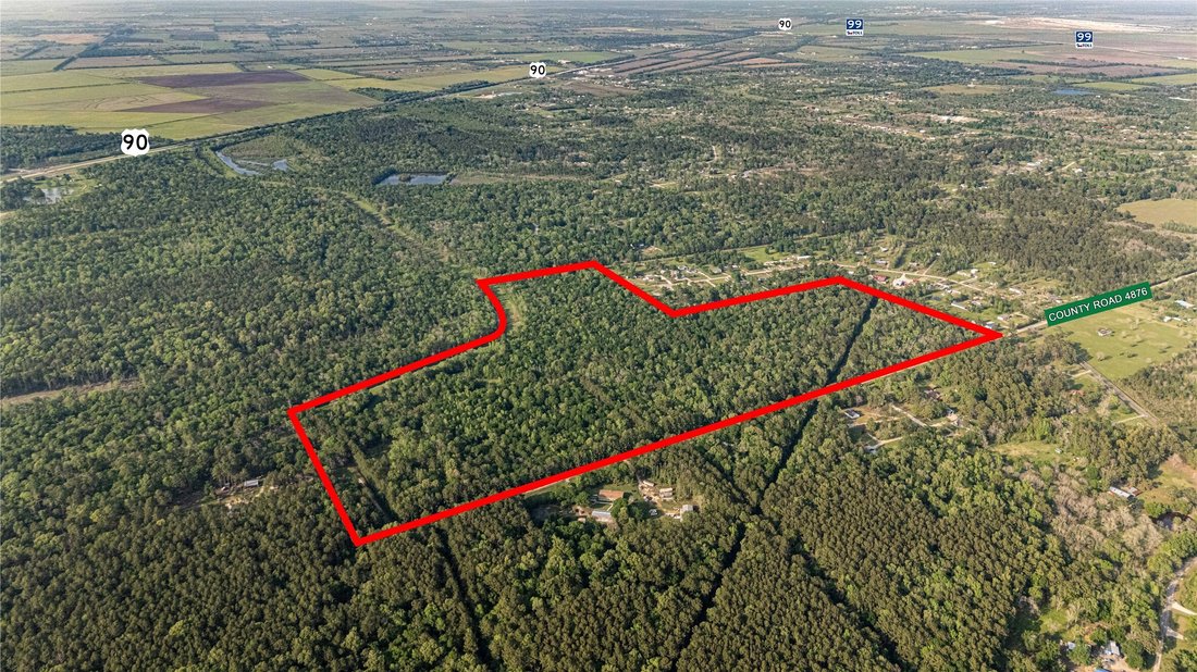 Land in Dayton, Texas, United States 3 - 16874629