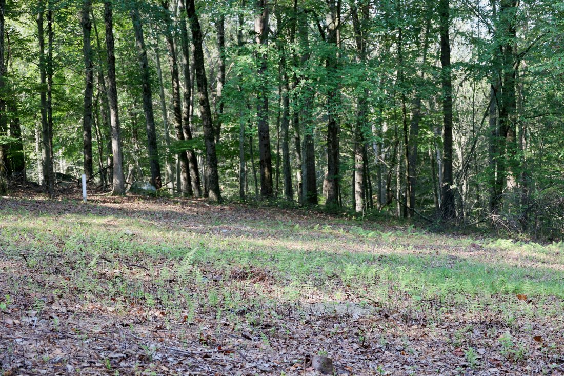 Land in Ridgefield, Connecticut, United States 5 - 16888582