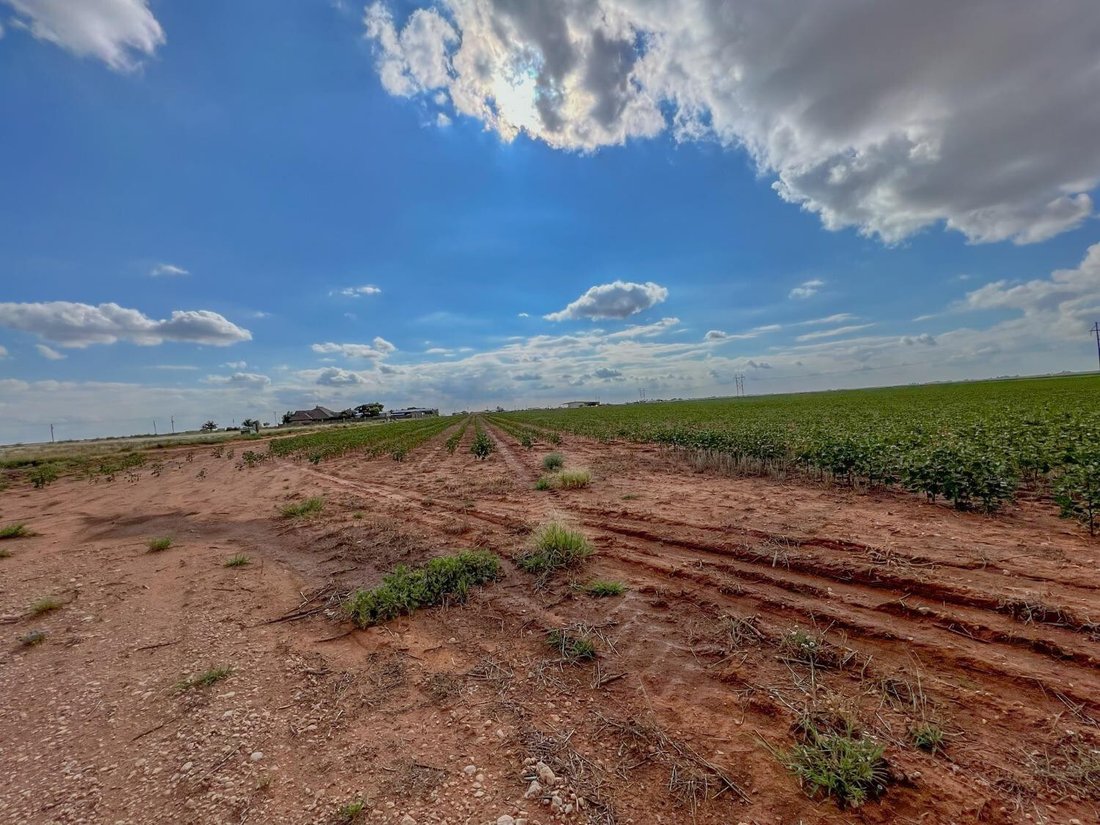 Land in Ropesville, Texas, United States 4 - 14635924