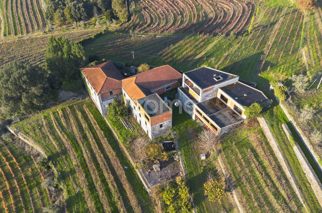 Finca a Oliveira, Distretto di Vila Real, Portogallo 1 - 16882686