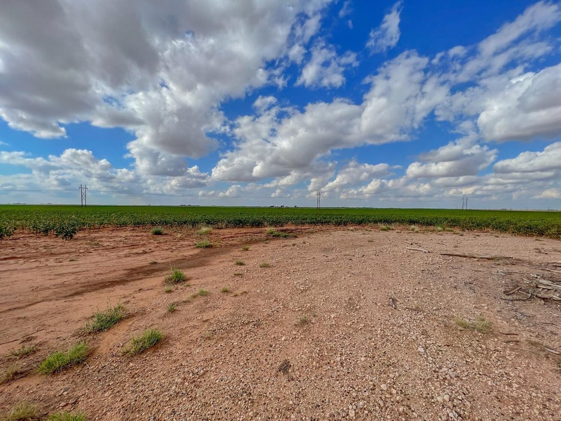 Land in Ropesville, Texas, United States 5 - 14635924