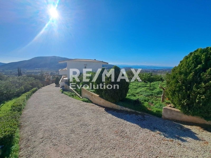 House in Kalyvia Thorikou, Attica, Greece 4 - 16879762