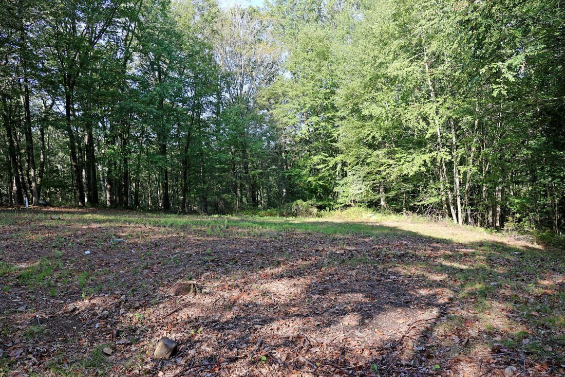 Land in Ridgefield, Connecticut, United States 3 - 16888582