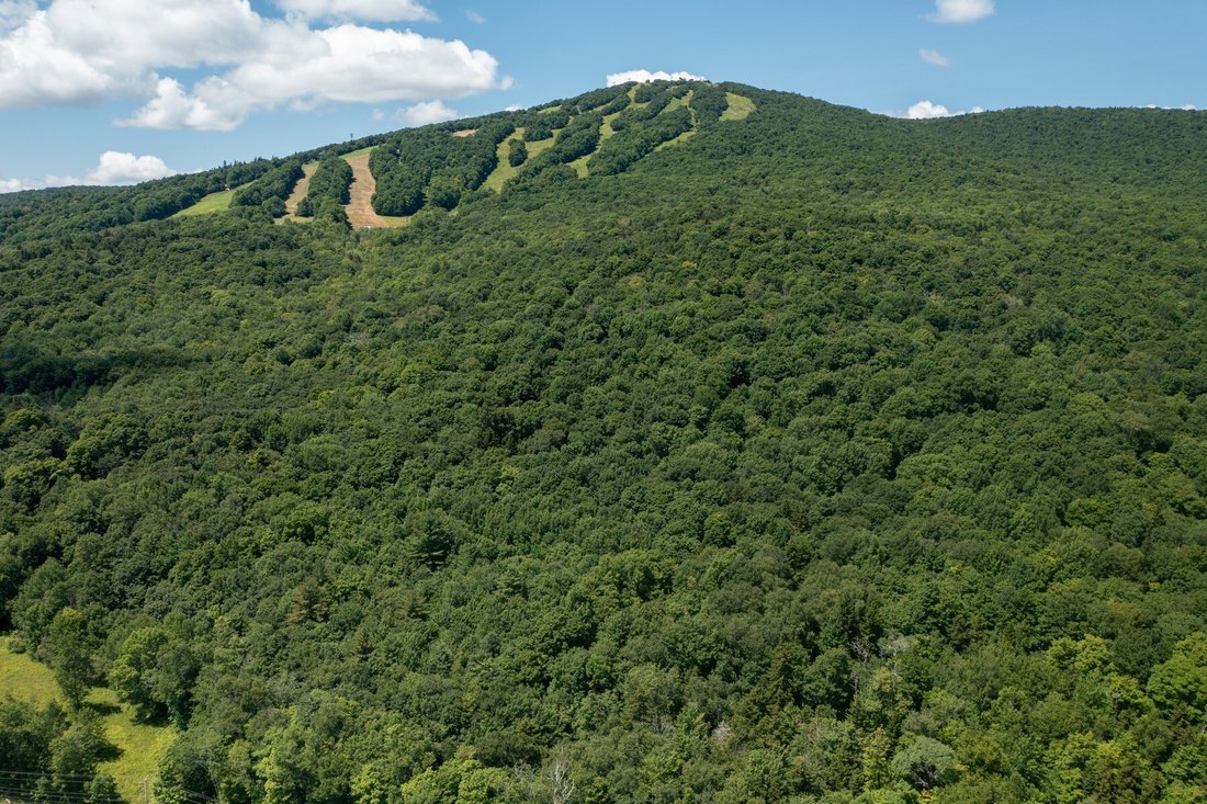 Land in Peru, Vermont, United States 2 - 16884544