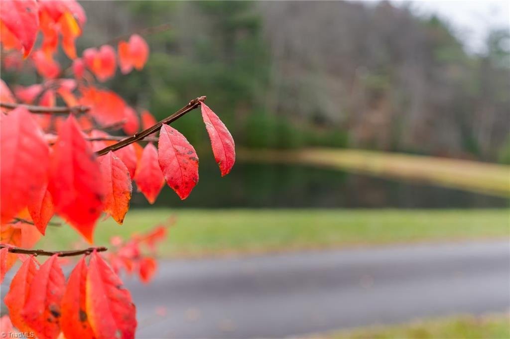 House in Crumpler, North Carolina, United States 4 - 16873603
