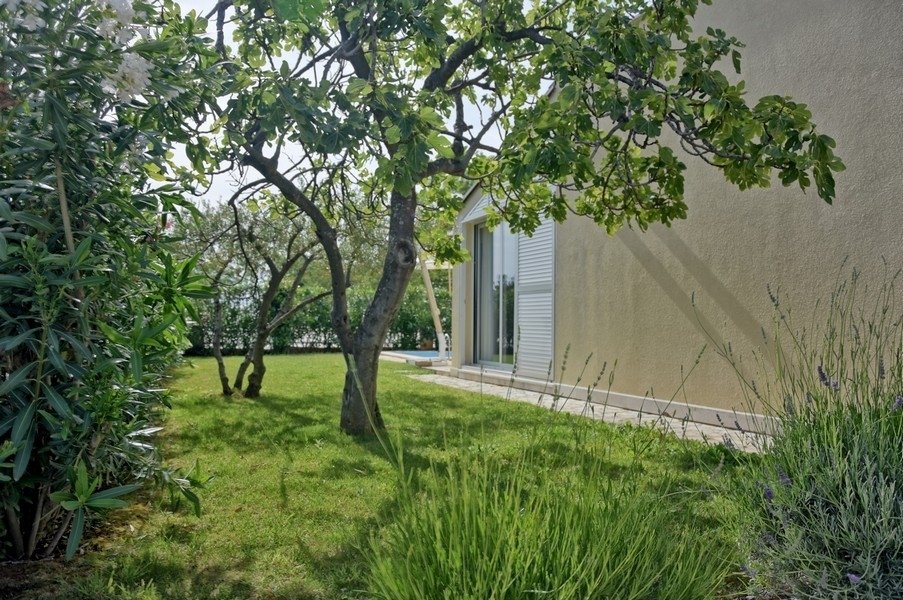 House in Finida, Istria County, Croatia 5 - 16880309