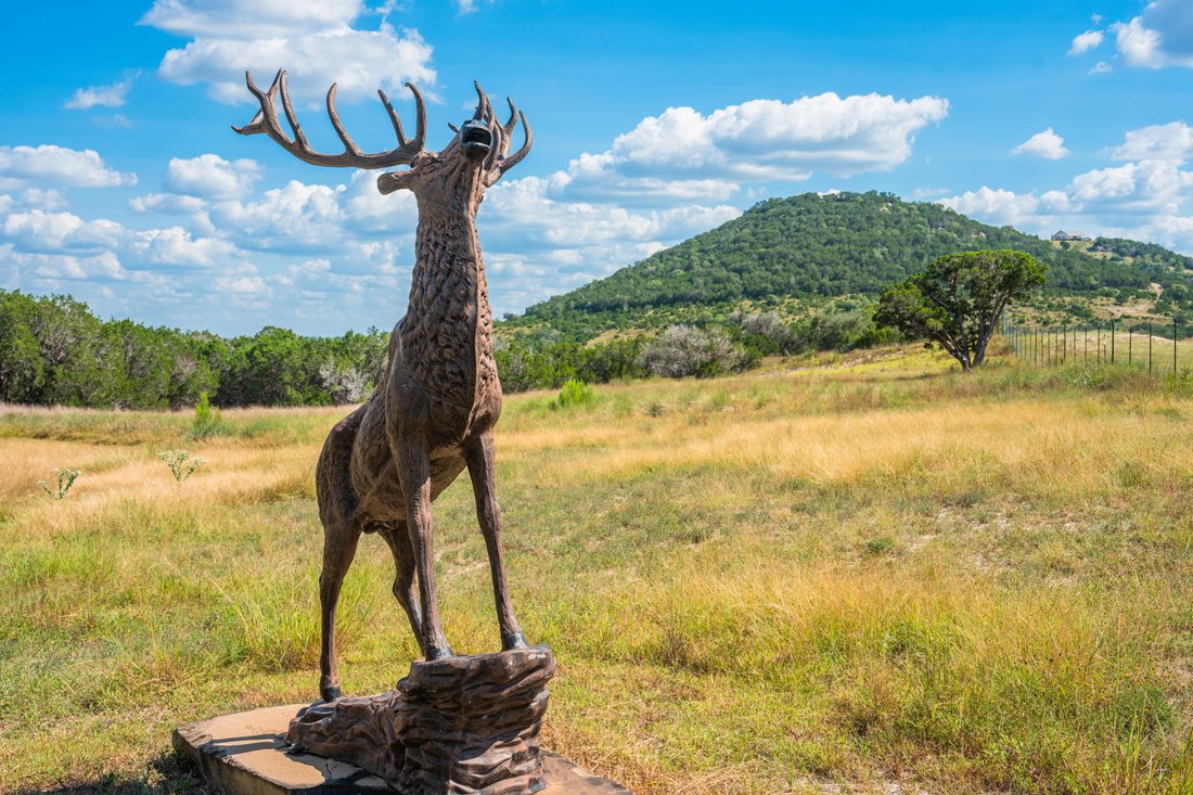 Farm Ranch in Center Point, Texas, United States 5 - 16884711