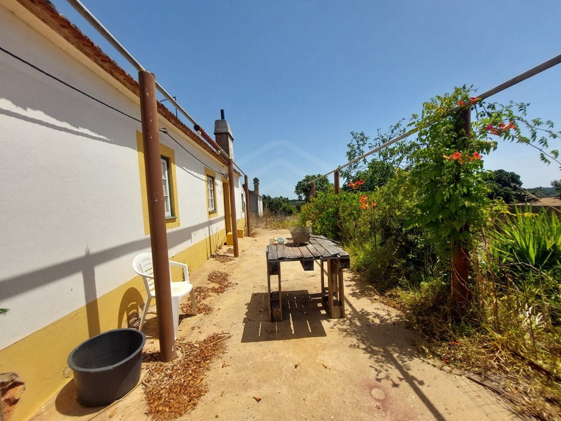 Estate in Cercal, Setubal, Portugal 3 - 14538704