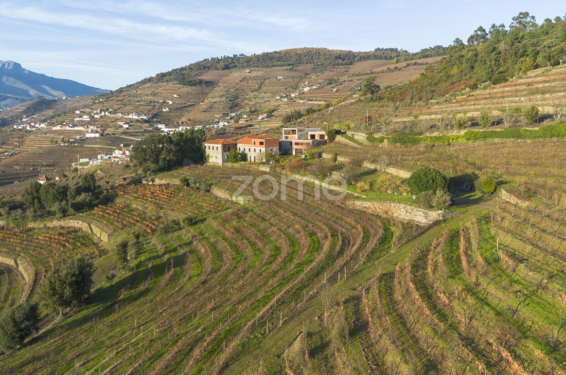 Finca in Oliveira, Vila Real District, Portugal 4 - 16882686
