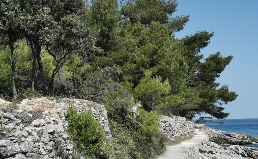 Land in Opcina Kukljica, Zadar County, Croatia 1