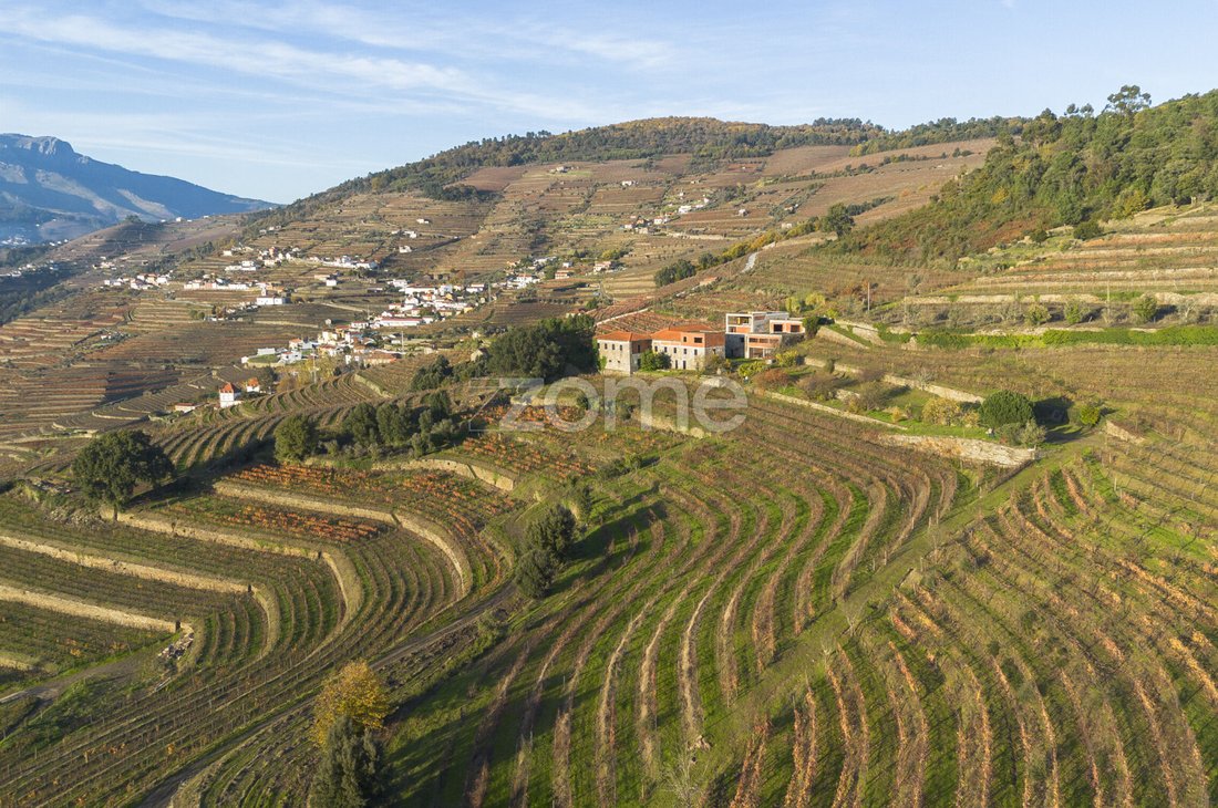 Finca in Oliveira, Vila Real District, Portugal 5 - 16882686