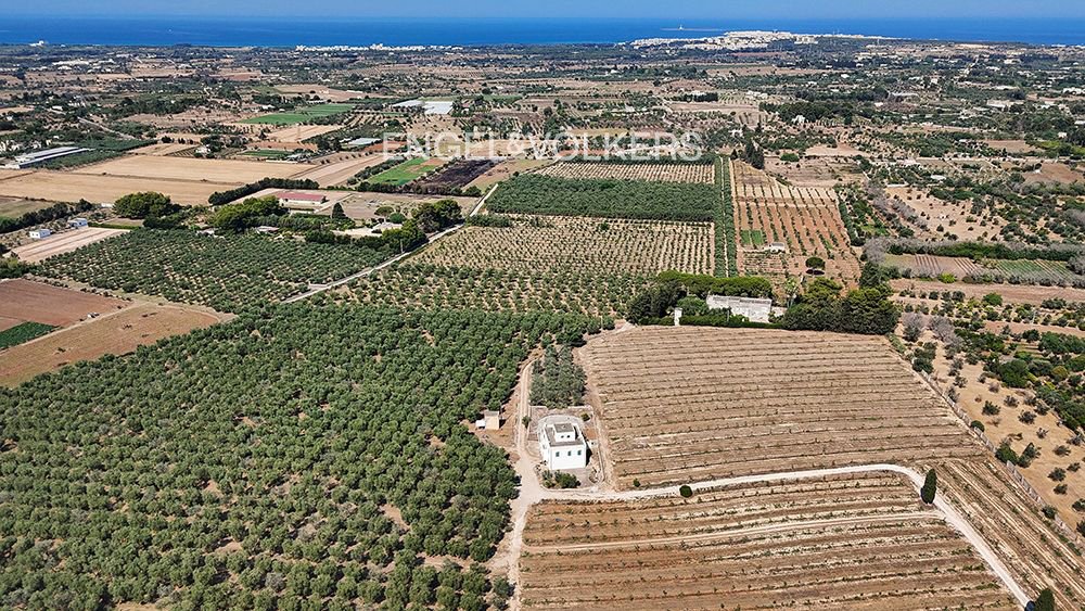 Villa in Alezio, Apulia, Italy 4 - 16013816