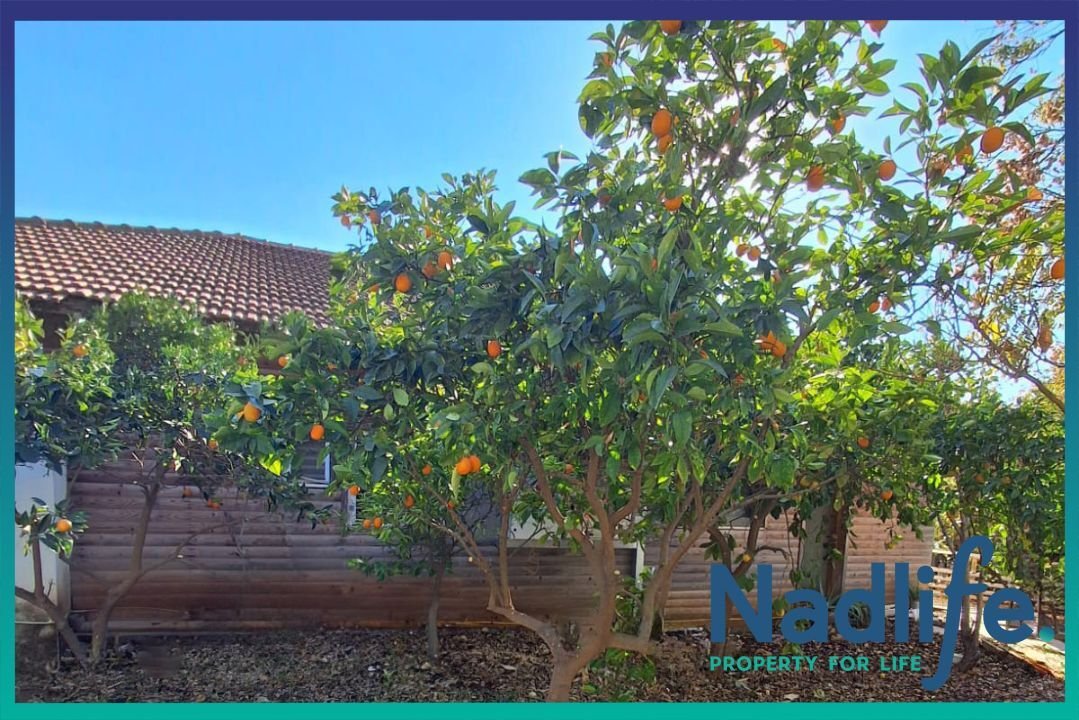 Estate in Aviezer, Jerusalem District, Israel 4 - 16877446
