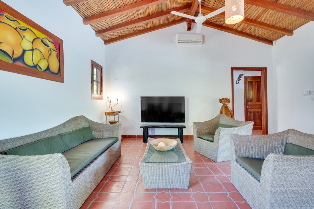 Villa in Tamarindo, Guanacaste Province, Costa Rica 2 - 16885805