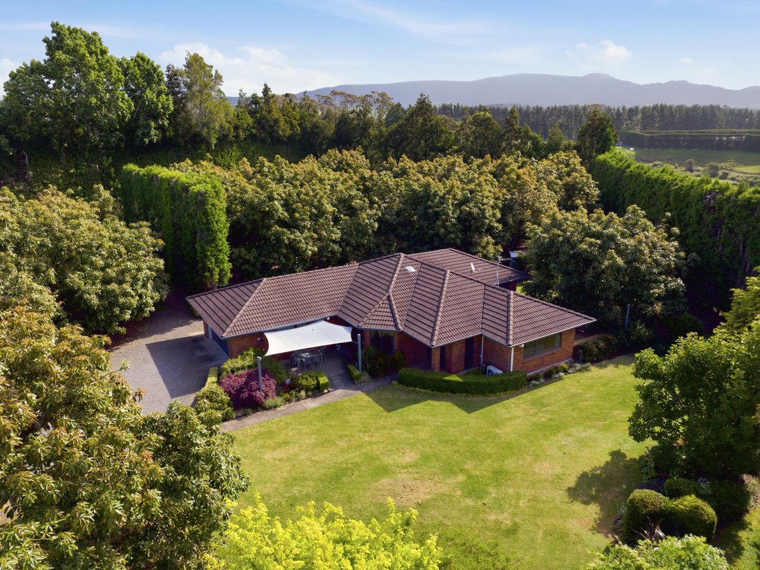 House in Aongatete, Bay of Plenty, New Zealand 3 - 16886297