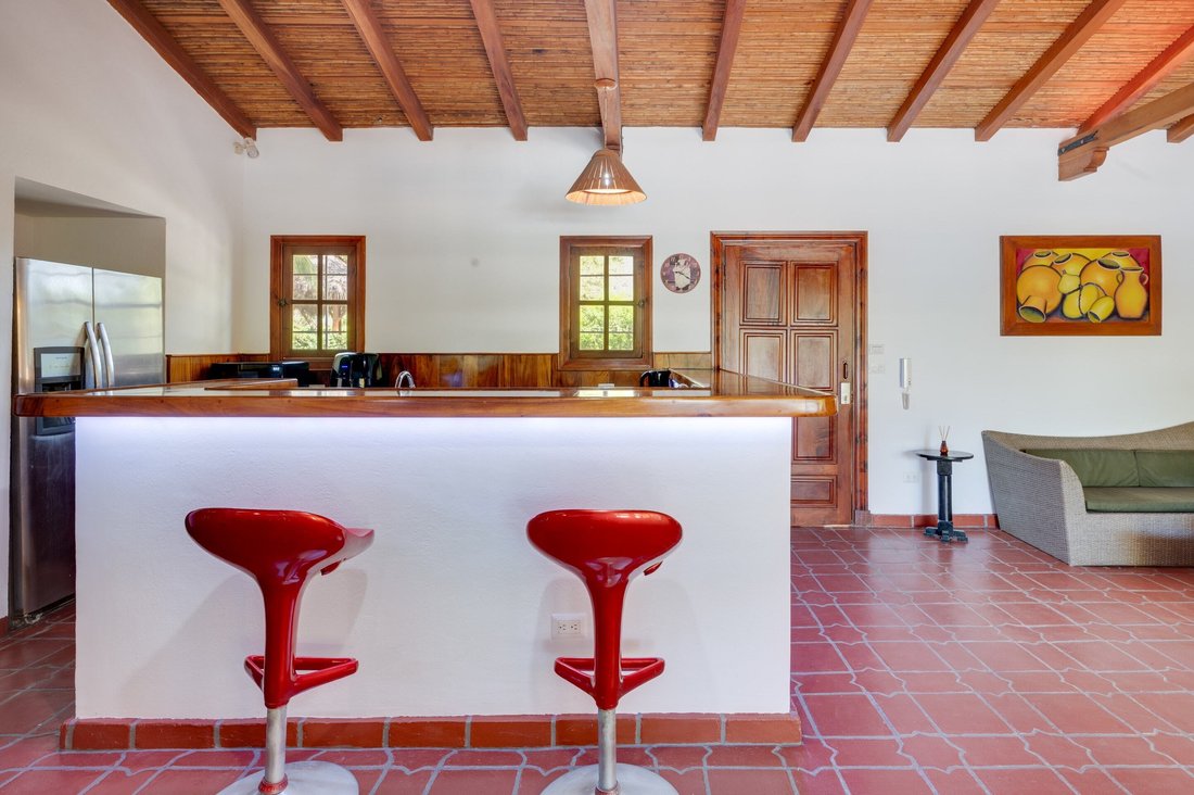 Villa in Tamarindo, Guanacaste Province, Costa Rica 3 - 16885805