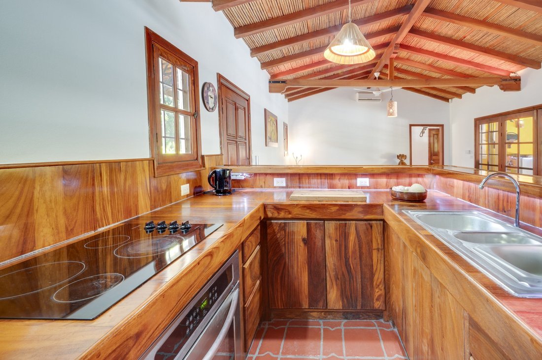 Villa in Tamarindo, Guanacaste Province, Costa Rica 4 - 16885805