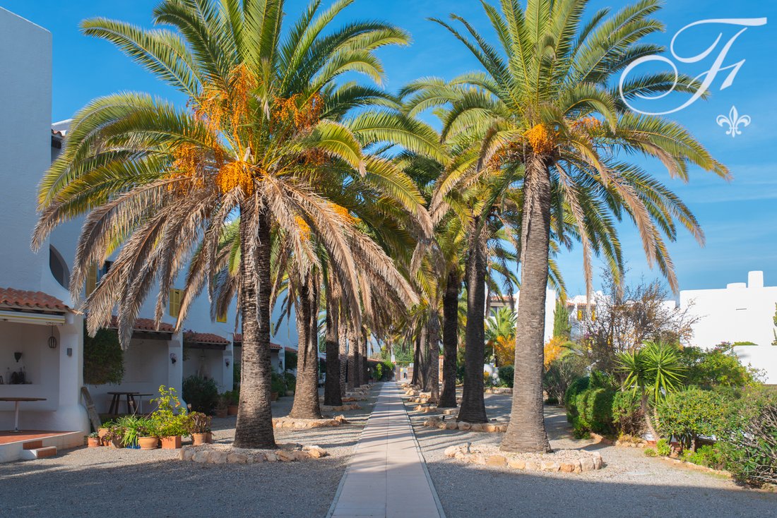 Apartment in Santa Eularia des Riu, Balearic Islands, Spain 3 - 16884752