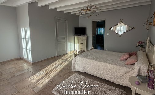 Castle for Sale in Tours, Centre-Val de Loire, France