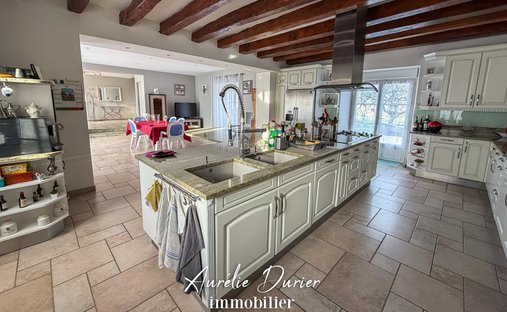 Castle for Sale in Tours, Centre-Val de Loire, France