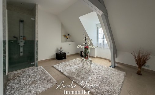 Castle for Sale in Tours, Centre-Val de Loire, France