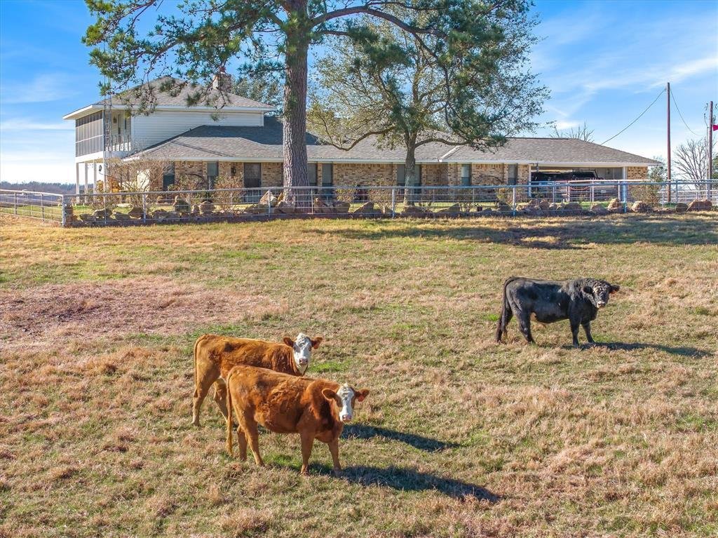 House in Van, Texas, United States 1 - 16889264