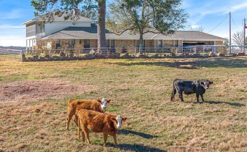 Haus in Van, Texas, Vereinigte Staaten 1