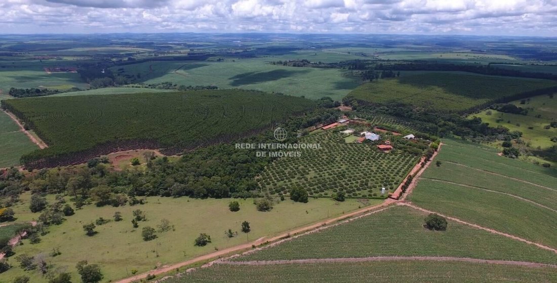 Farm Ranch in Rio de Janeiro, State of Rio de Janeiro, Brazil 4 - 16170152