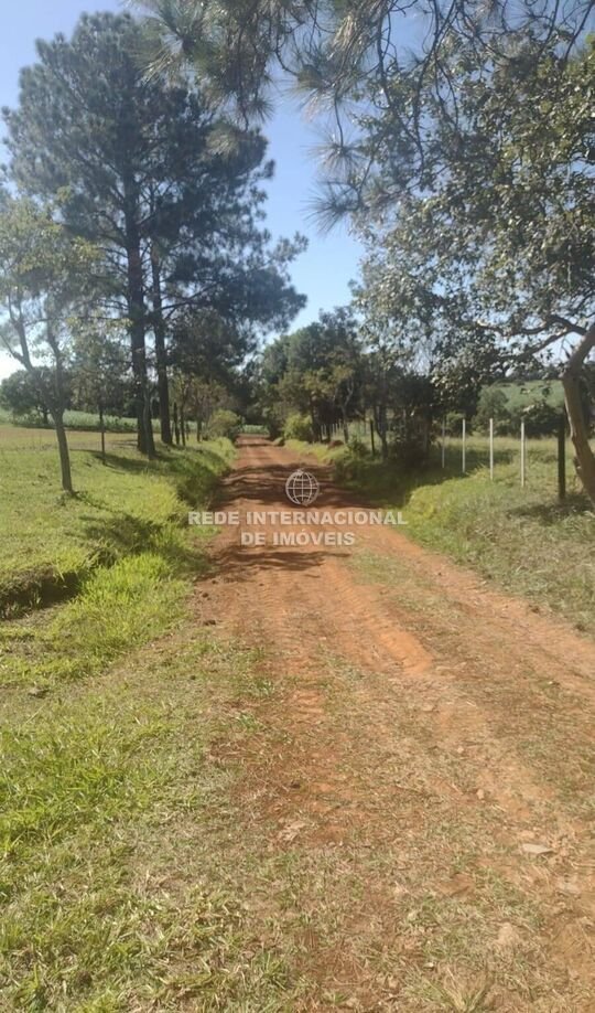 Farm Ranch in Itapetininga, State of São Paulo, Brazil 4 - 16170338