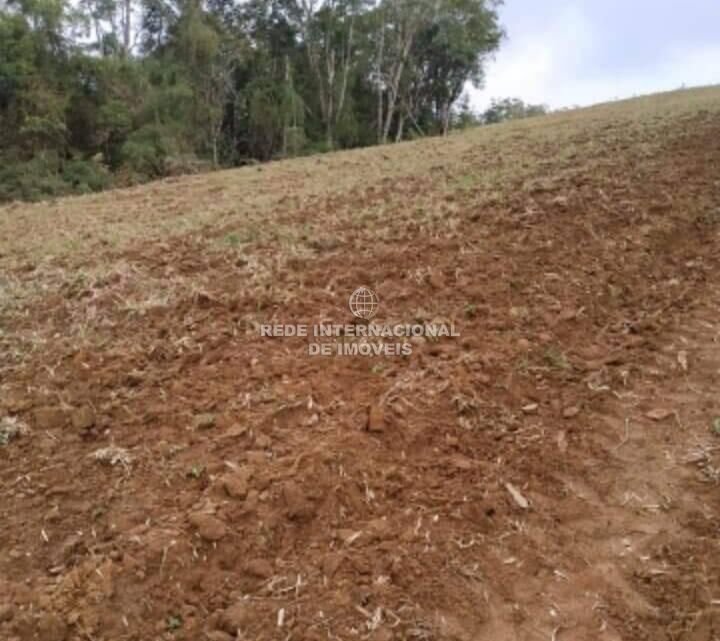Farm Ranch in Rio de Janeiro, State of Rio de Janeiro, Brazil 5 - 16170138