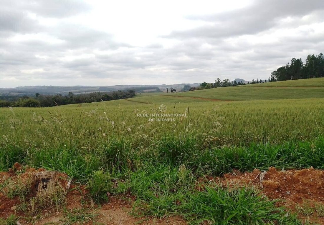 Farm Ranch in Riversul, State of São Paulo, Brazil 2 - 16175650