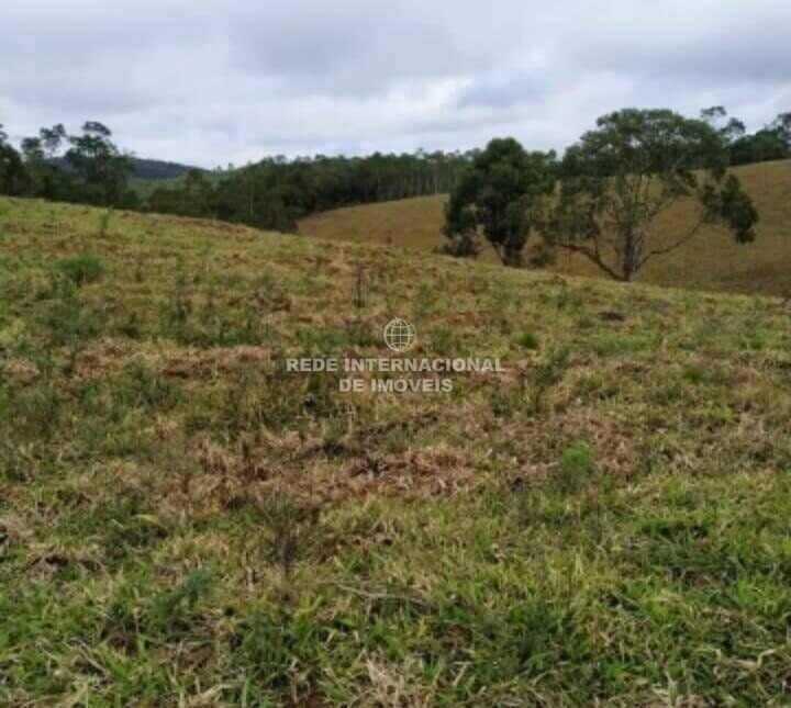 Farm Ranch in Rio de Janeiro, State of Rio de Janeiro, Brazil 4 - 16170138