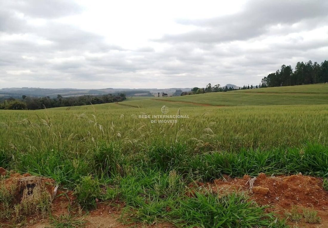 Farm Ranch in Riversul, State of São Paulo, Brazil 4 - 16175650