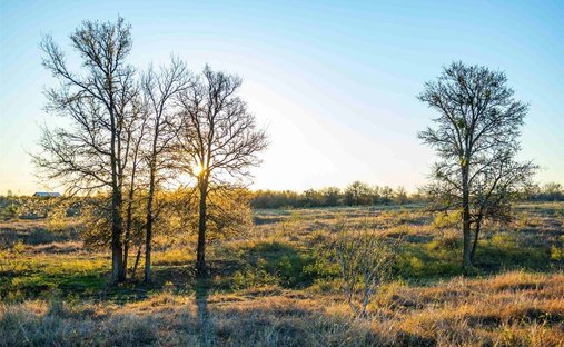 Azienda agricola a Elgin, Texas, Stati Uniti 1