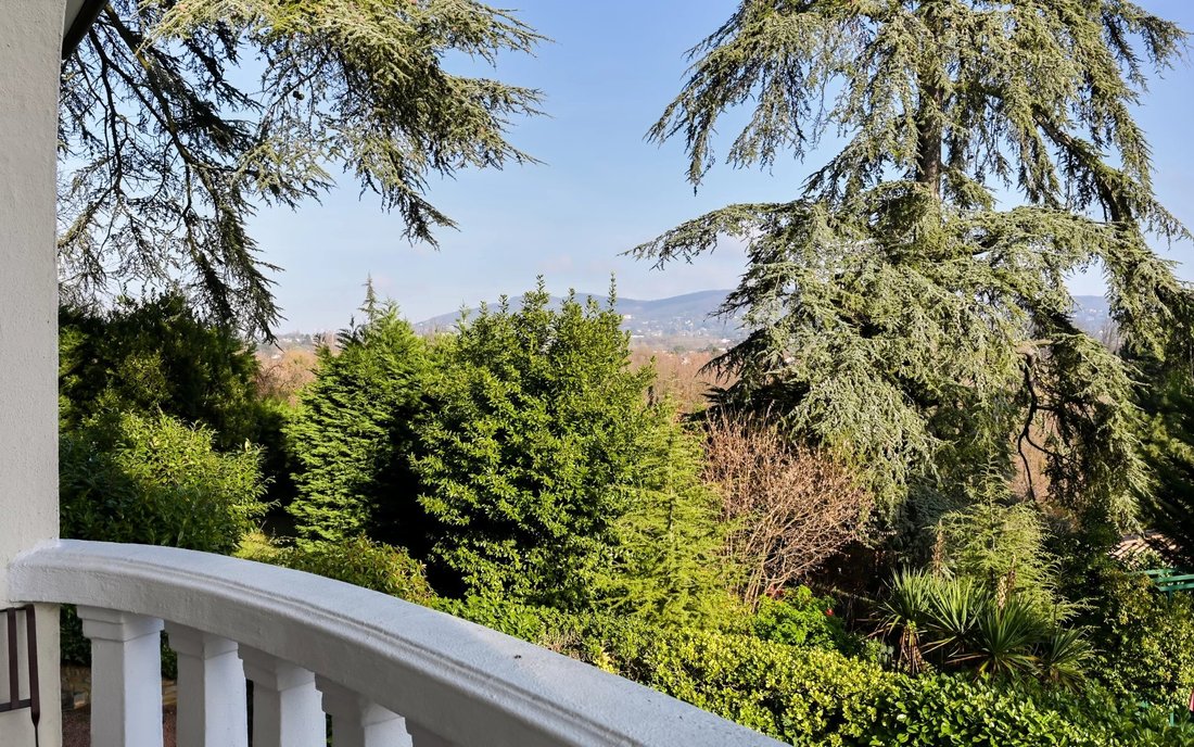 House in Est, Dardilly, France 5 - 16885211