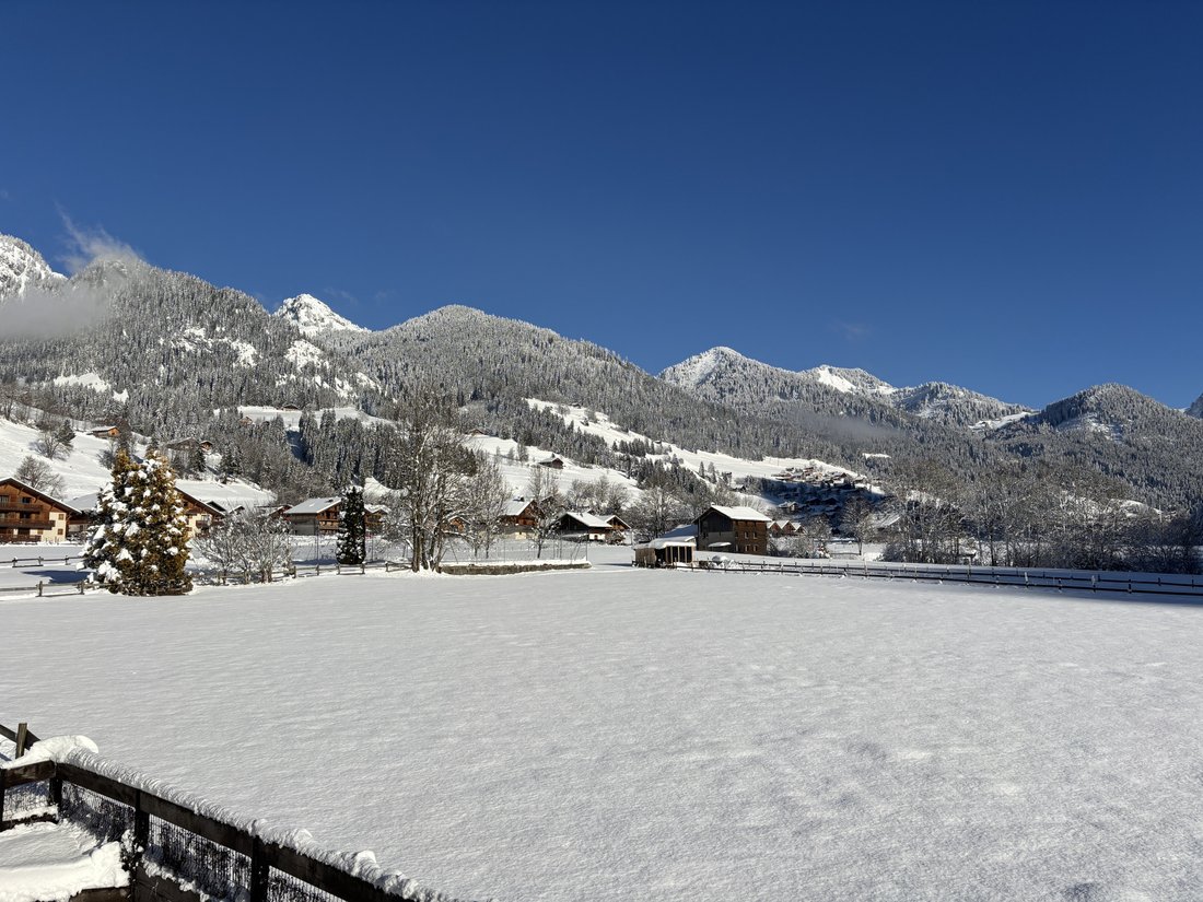 Apartment in La Chapelle-d'Abondance, Auvergne-Rhône-Alpes, France 3 - 16893038
