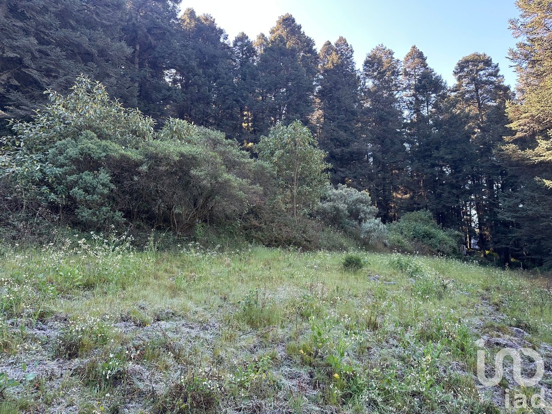 Land in La Cañada, State of Mexico, Mexico 5 - 16891572