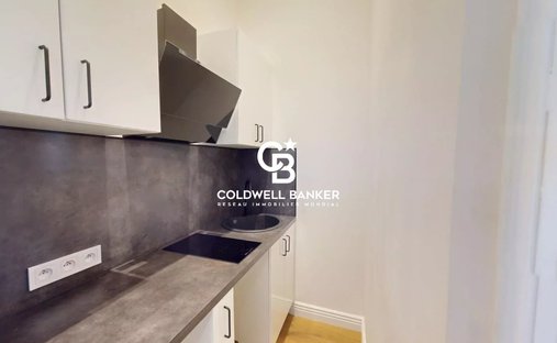 Beautifully Restored Chateau With Gites And Stables Toulouse