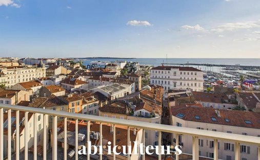 Cannes Californie Gated Estate Joint Agent