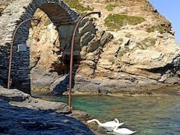 Land in Andros, Aegean, Greece 3 - 16894782