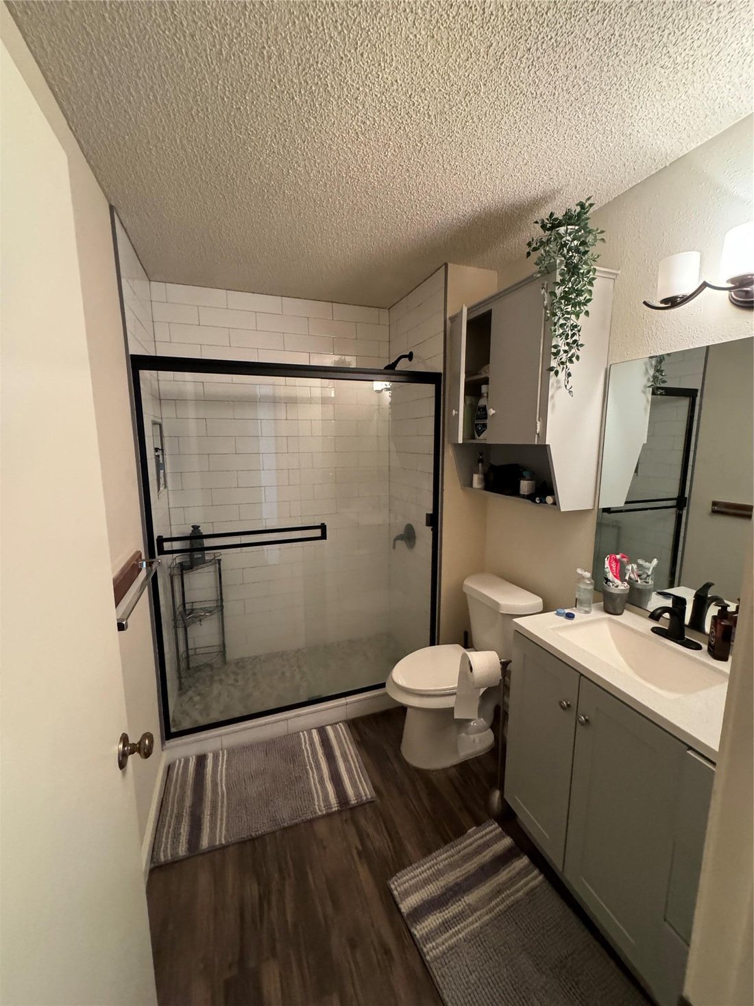 Austin, Texas, United States 5 - 16893456