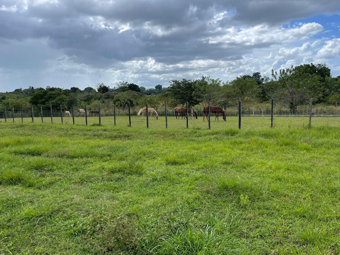 Land in Rio Hato, Coclé Province, Panama 1 - 16893946