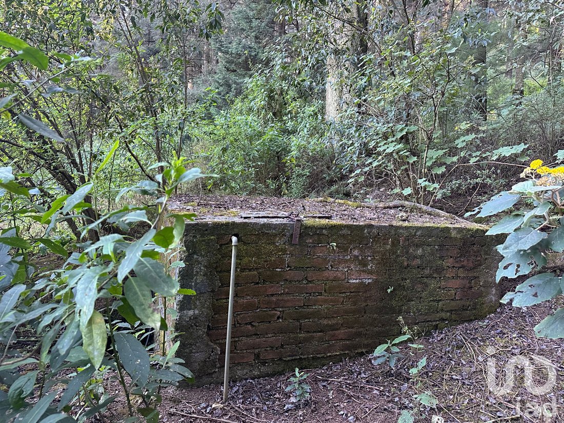 Land in La Cañada, State of Mexico, Mexico 4 - 16891572