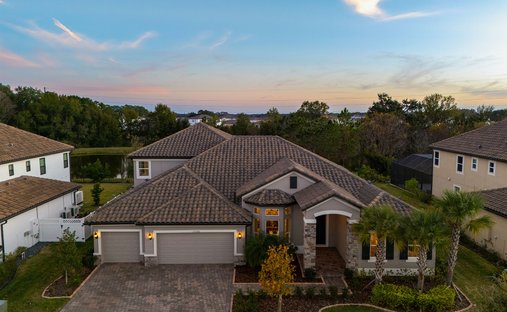 House in Wesley Chapel, Florida, United States 1