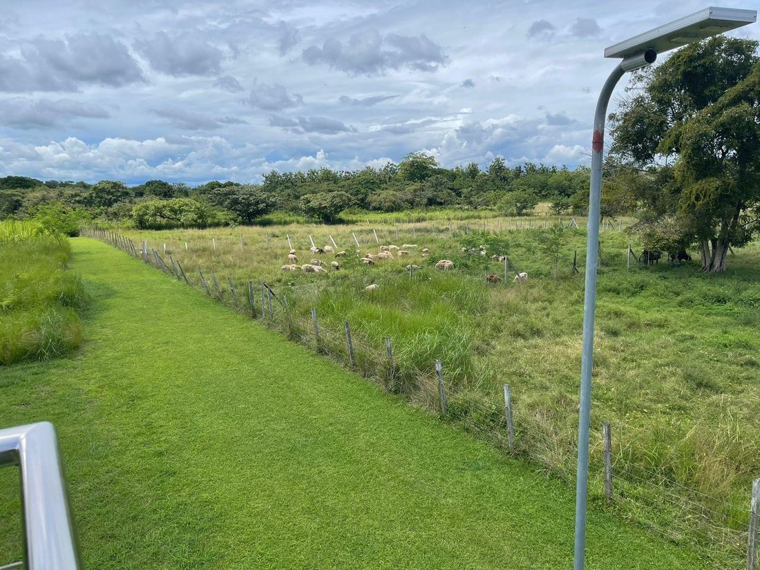 Land in Rio Hato, Coclé Province, Panama 4 - 16893946